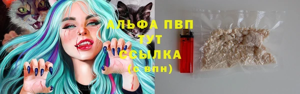 сатива Магадан