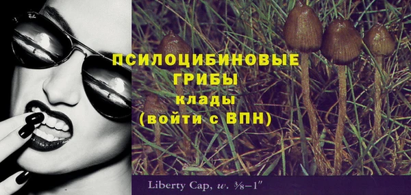 сатива Магадан