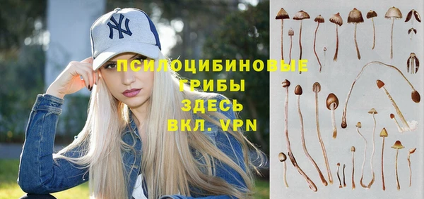 spice Алзамай