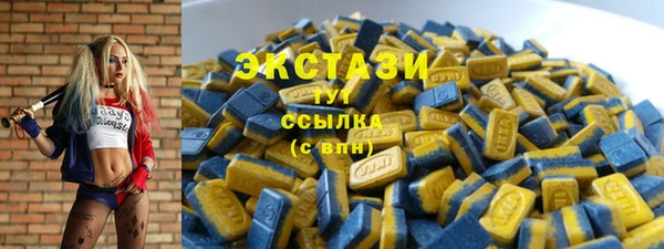 мет Алексин
